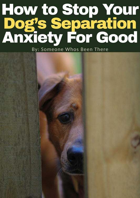How to Stop Your Dog’s Separation Anxiety For Good